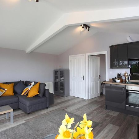 Deerfin Rentals Private Chalet With Hot Tub Ballymena Extérieur photo