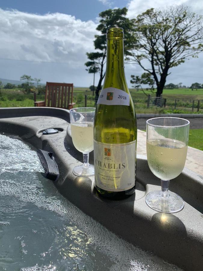 Deerfin Rentals Private Chalet With Hot Tub Ballymena Extérieur photo