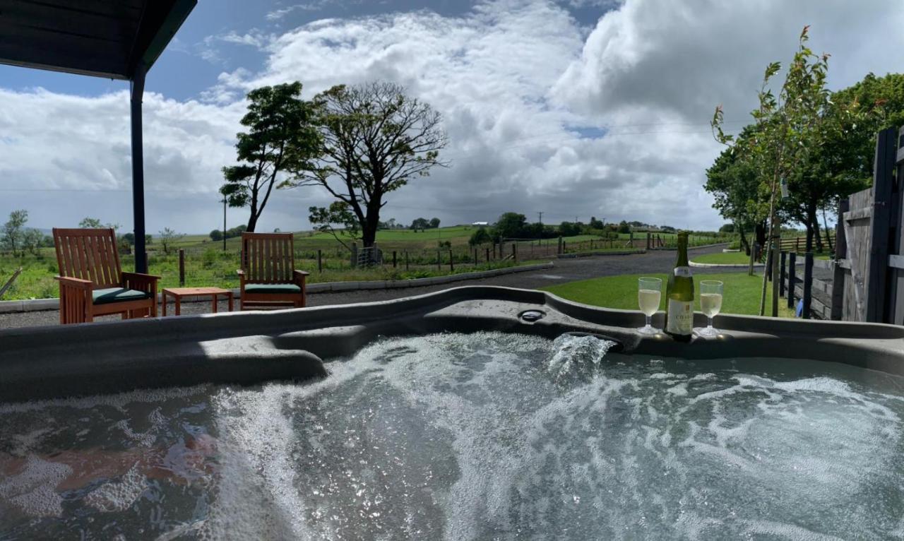 Deerfin Rentals Private Chalet With Hot Tub Ballymena Extérieur photo