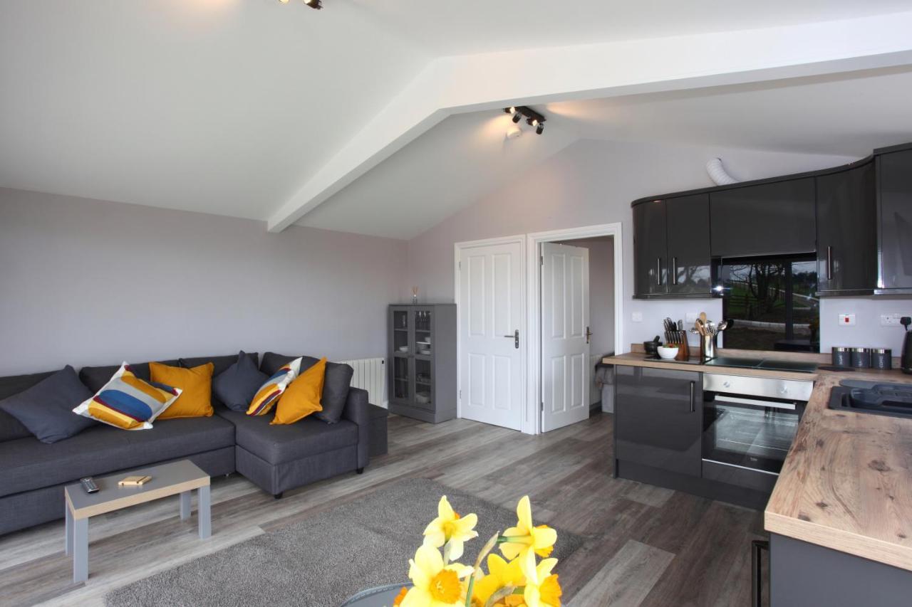 Deerfin Rentals Private Chalet With Hot Tub Ballymena Extérieur photo